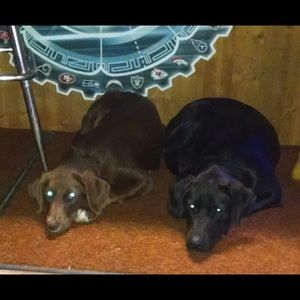 Meet your Posher, Bobby